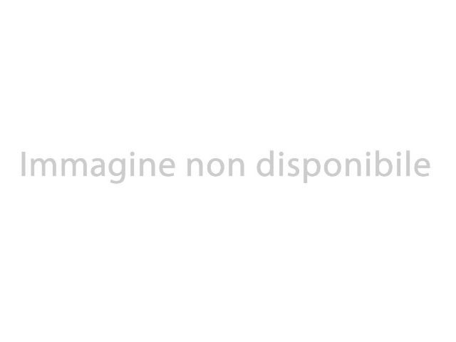 FORD Transit 290 2.0TDCi EcoBlue 130CV – CASSONE FISSO usato
